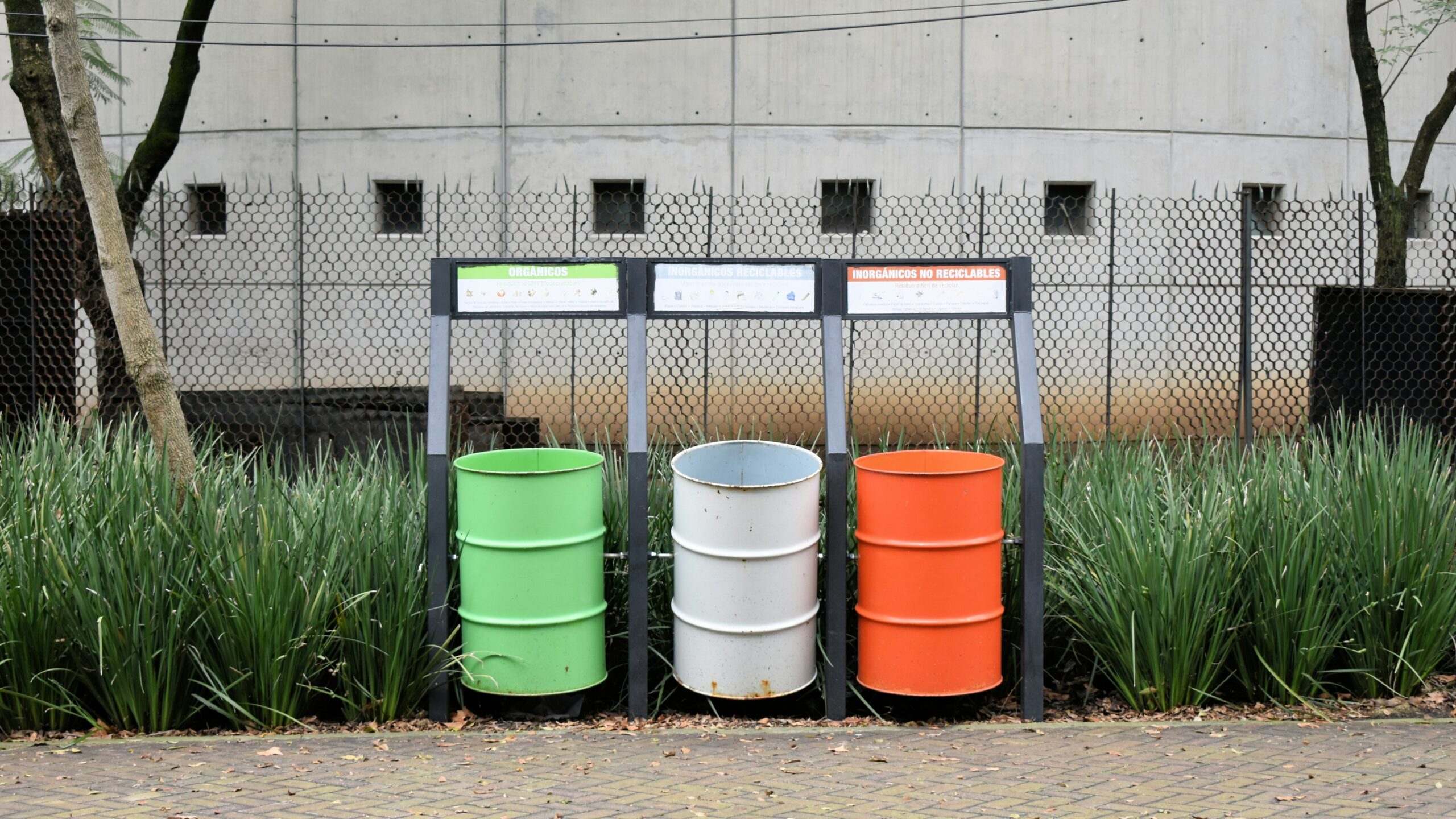 Illustration of rain barrels collecting water for gardening