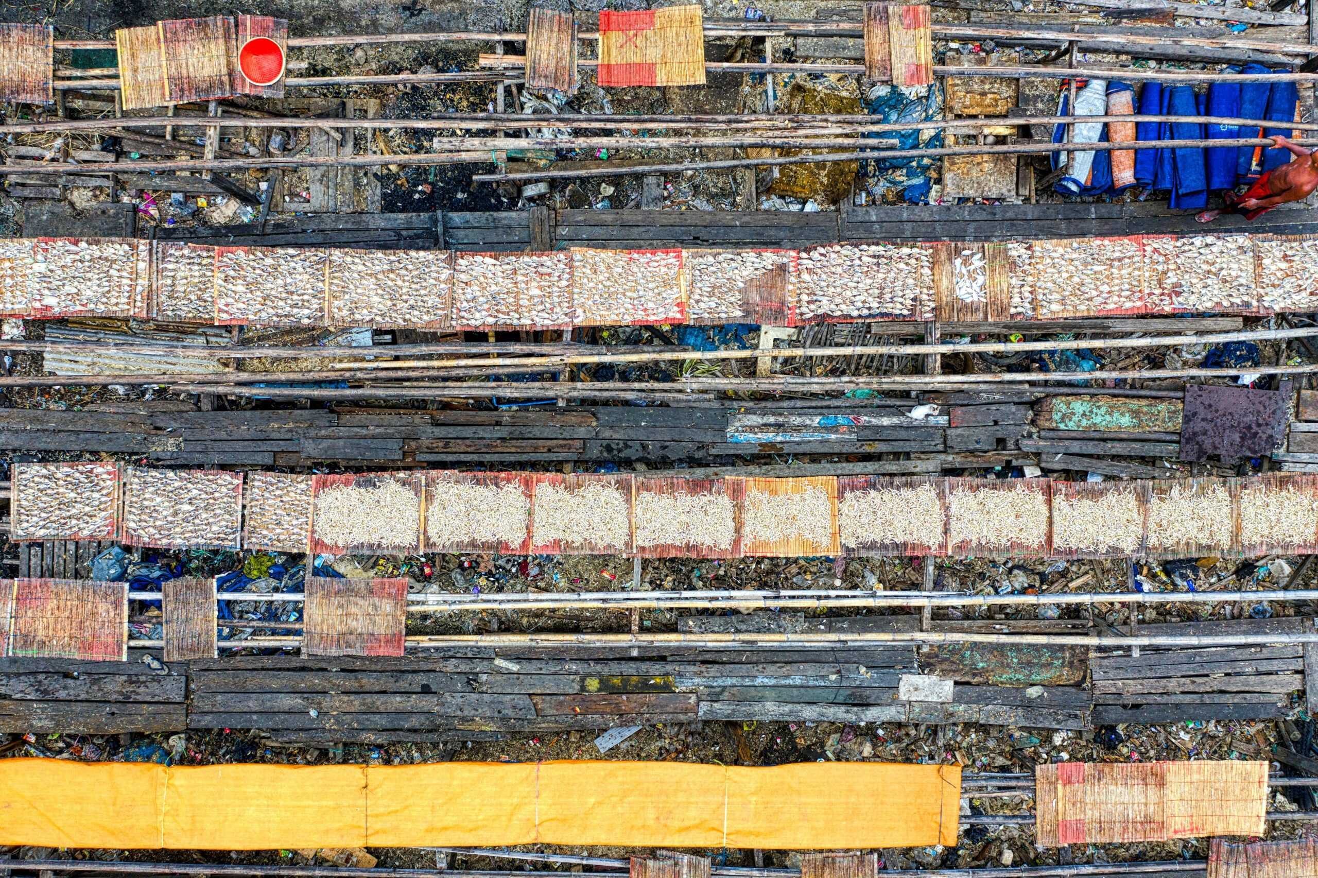 Infographic showing CO2 emissions from pet food production process