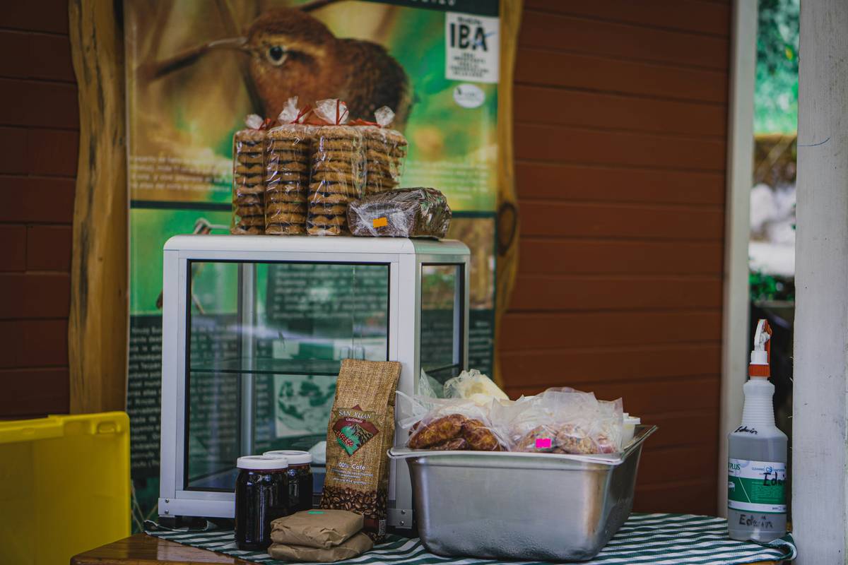Photo of a happy cat eating organic food