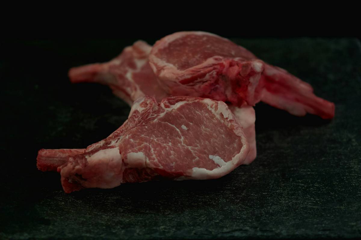 The Ultimate Guide to the Organic Meat Cat Diet: Why Your Feline Deserves Better