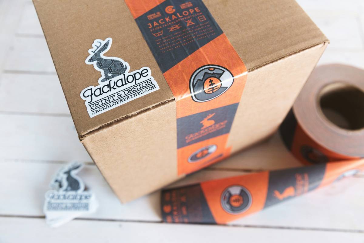 Why Choose an Eco-Conscious Cat Food Brand for Your Feline Friend?